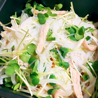 低カロ☆鶏とカイワレのこんにゃく麺